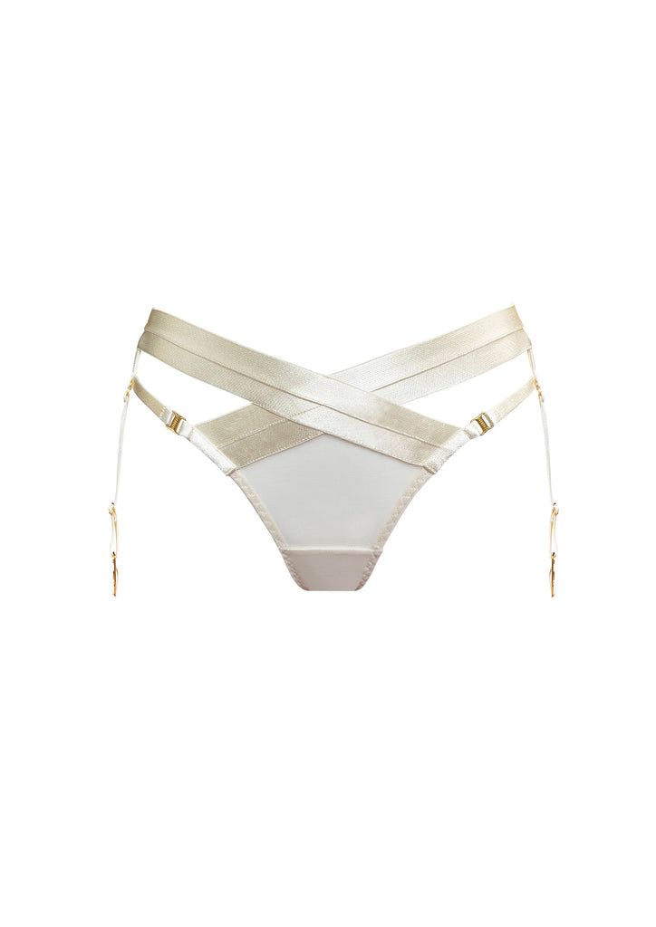 Signature Panelled Suspender Brief